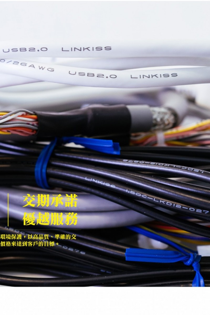 敦泰企業 LINKISS GROUP