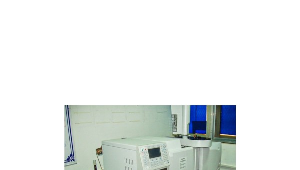 CHINA FACTORY